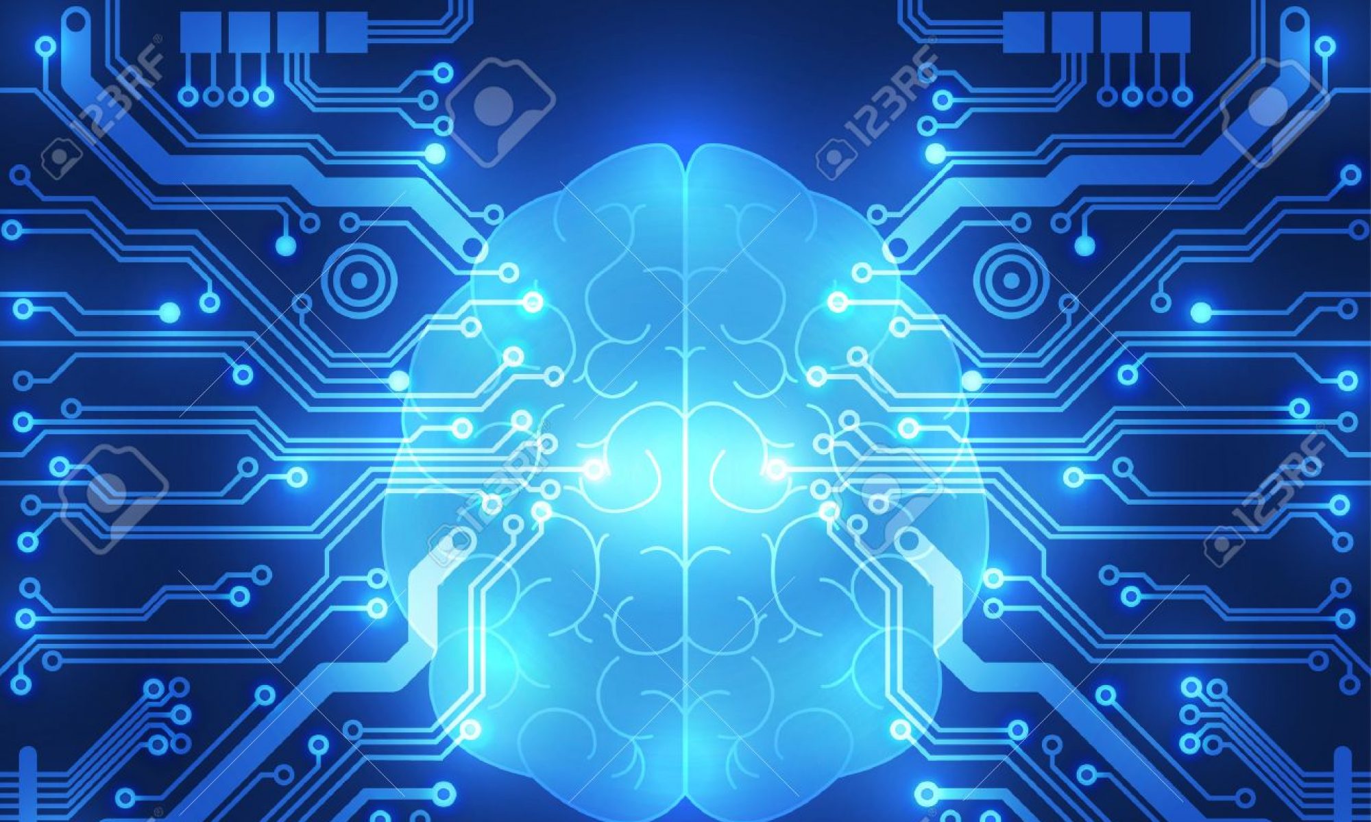 Networking, Support and IT Services